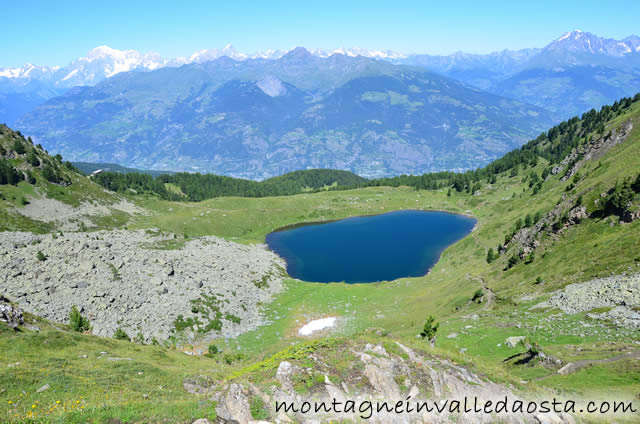 rifugio arbolle